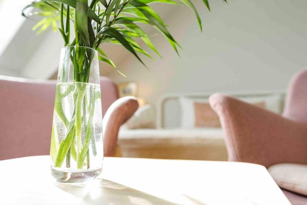 Apartament Vivando - Sunny F + Parking